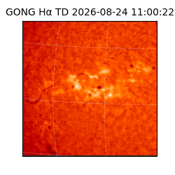 gong - 2026-08-24T11:00:22