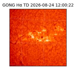 gong - 2026-08-24T12:00:22