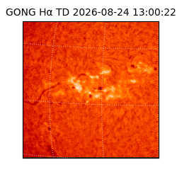 gong - 2026-08-24T13:00:22