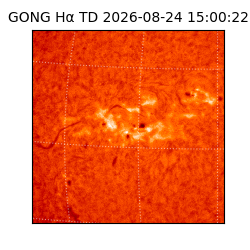 gong - 2026-08-24T15:00:22