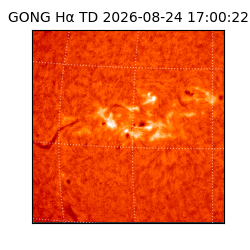 gong - 2026-08-24T17:00:22