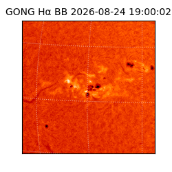 gong - 2026-08-24T19:00:02