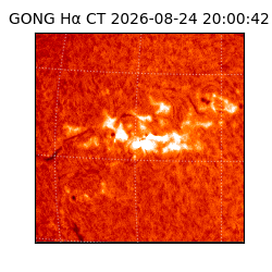 gong - 2026-08-24T20:00:42