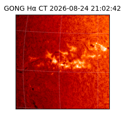 gong - 2026-08-24T21:02:42