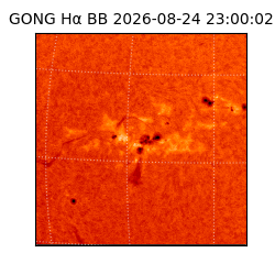 gong - 2026-08-24T23:00:02
