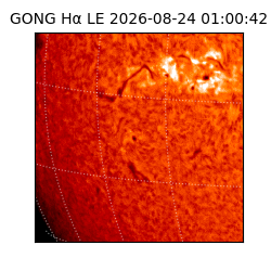 gong - 2026-08-24T01:00:42