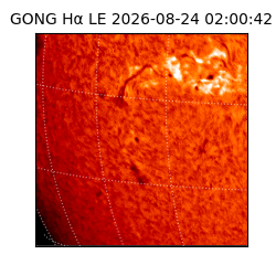 gong - 2026-08-24T02:00:42