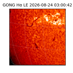 gong - 2026-08-24T03:00:42