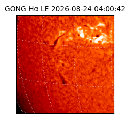 gong - 2026-08-24T04:00:42