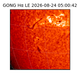 gong - 2026-08-24T05:00:42