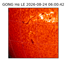 gong - 2026-08-24T06:00:42