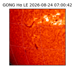 gong - 2026-08-24T07:00:42