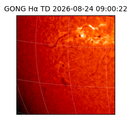 gong - 2026-08-24T09:00:22