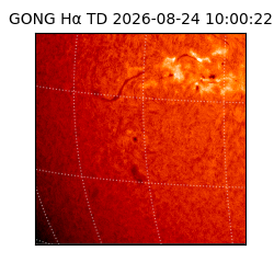 gong - 2026-08-24T10:00:22