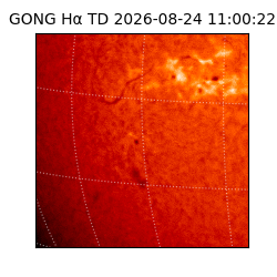 gong - 2026-08-24T11:00:22