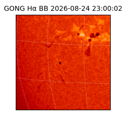 gong - 2026-08-24T23:00:02