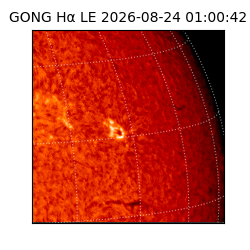 gong - 2026-08-24T01:00:42