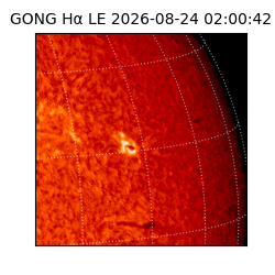 gong - 2026-08-24T02:00:42