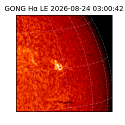 gong - 2026-08-24T03:00:42