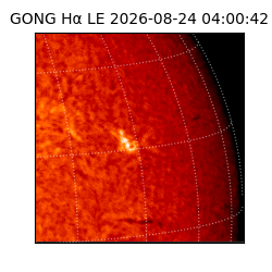 gong - 2026-08-24T04:00:42