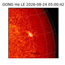 gong - 2026-08-24T05:00:42