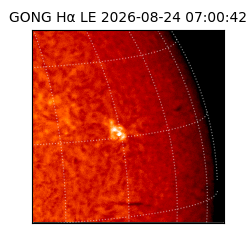gong - 2026-08-24T07:00:42