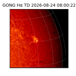 gong - 2026-08-24T08:00:22