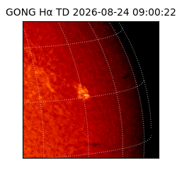 gong - 2026-08-24T09:00:22