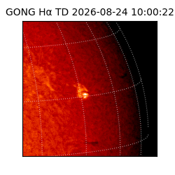 gong - 2026-08-24T10:00:22