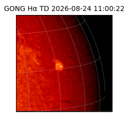 gong - 2026-08-24T11:00:22