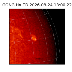 gong - 2026-08-24T13:00:22