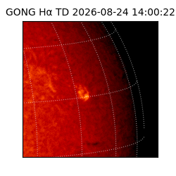 gong - 2026-08-24T14:00:22