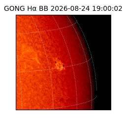 gong - 2026-08-24T19:00:02