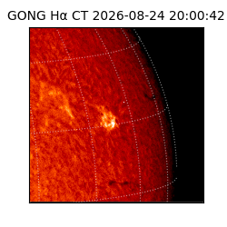 gong - 2026-08-24T20:00:42