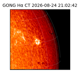 gong - 2026-08-24T21:02:42