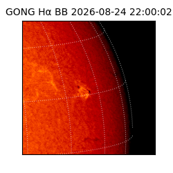 gong - 2026-08-24T22:00:02