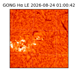 gong - 2026-08-24T01:00:42