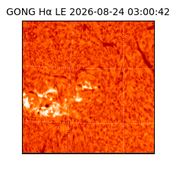 gong - 2026-08-24T03:00:42