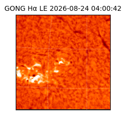 gong - 2026-08-24T04:00:42