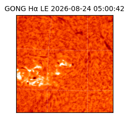 gong - 2026-08-24T05:00:42
