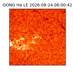 gong - 2026-08-24T06:00:42