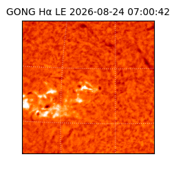 gong - 2026-08-24T07:00:42