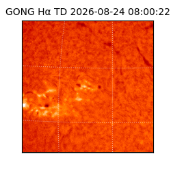 gong - 2026-08-24T08:00:22