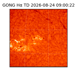 gong - 2026-08-24T09:00:22