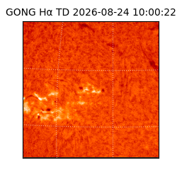 gong - 2026-08-24T10:00:22