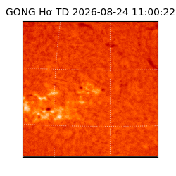 gong - 2026-08-24T11:00:22