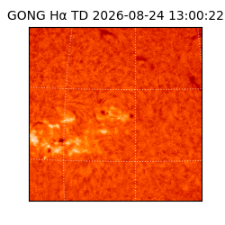 gong - 2026-08-24T13:00:22
