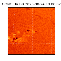 gong - 2026-08-24T19:00:02