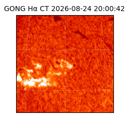 gong - 2026-08-24T20:00:42