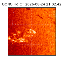 gong - 2026-08-24T21:02:42